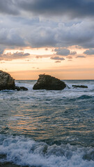 Seagull on rock in sea waves at sunset