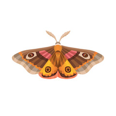 Flat vector moth illustration. Insect illustration isolated on white. © Svetlana