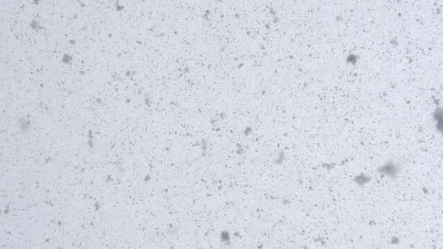 Floating dust and specks form subtle cinematic textured background scene