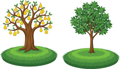 Obraz premium Pear tree full of yellow ripe fruit and green leafy tree on grass mounds for agriculture gardening orchard nature and,