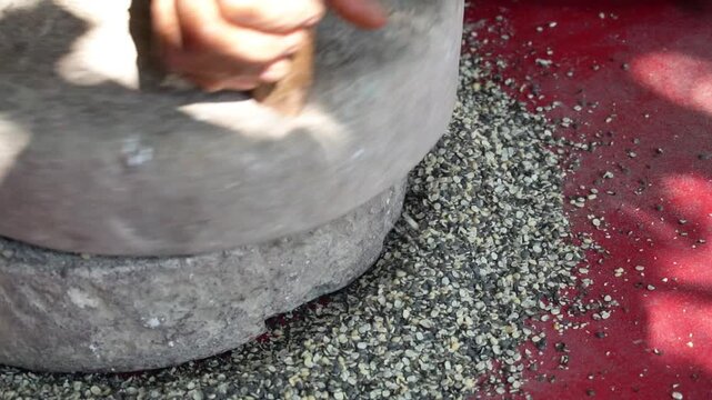 Hand Grinding Urad Dal on Stone Grinder Traditional Indian Food Preparation. Manual Stone Grinding Black Gram Dal.