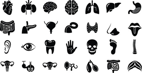 Black silhouettes of human body organs and parts