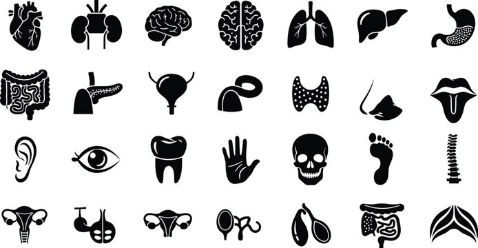 Black silhouettes of human body organs and parts