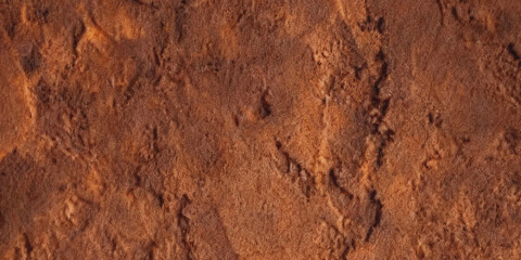 A close up view of reddish brown textured rock formations suggesting a desert or mars like landscape © Nasrin