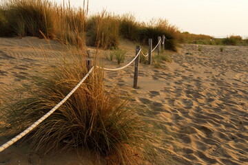 Sand Dunes with Rope Fence at Sunrise in Bibione, Italy