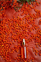 ripe sea buckthorn  branch  with berries and  sea buckthorn oil on orange background. close up. flat lay