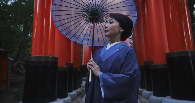 Gorgeous Japanese woman in ancient kimono holding umbrella in front of line of old torii gates, slow motion