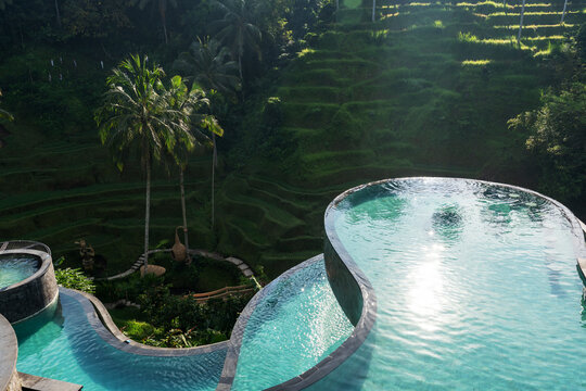 View of the infinity pool at Tegallang Ubud Bali, Indonesia