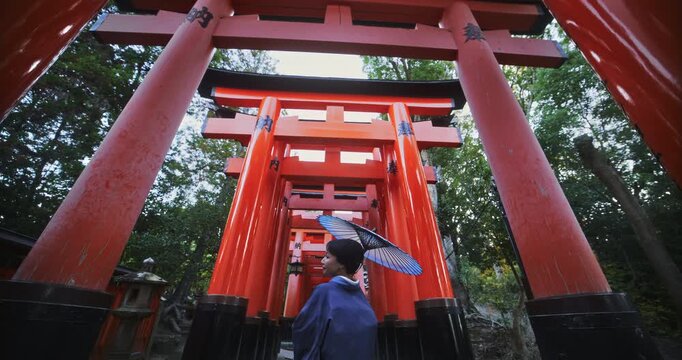 Pretty Japanese woman holding umbrella and in kimono while standing under line of ancient torii gates