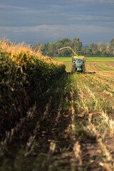 Modern forage harvester combiner harvesting silage maize corn tractor trailer corn field warm sunny autumn morning with overcast cloudy sky. Heavy agricultural machinery work. Livestock feeding corn © Kyryl Gorlov