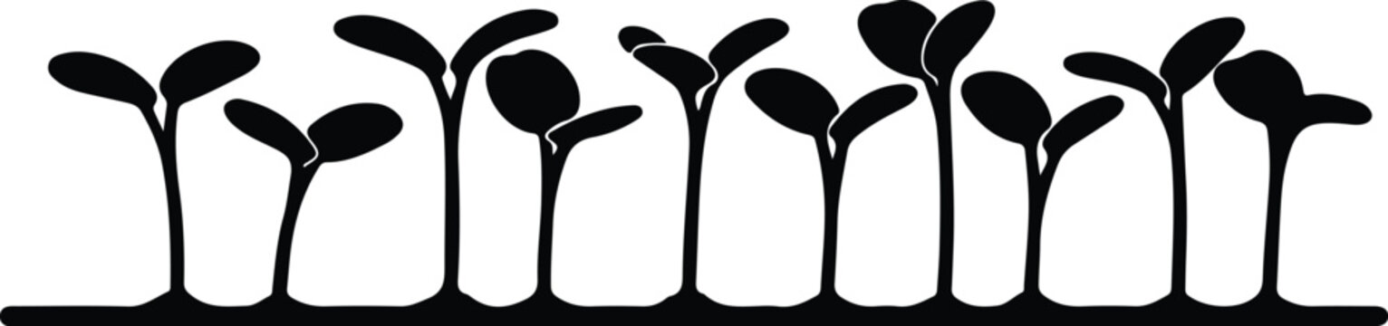 silhouette row of young plant sprouts growing from soil vector design