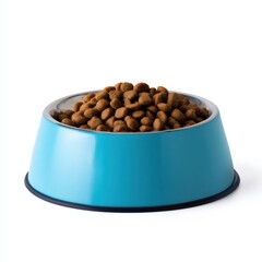 Close-up of dry kibble in blue dog bowl with stainless steel lining for pets