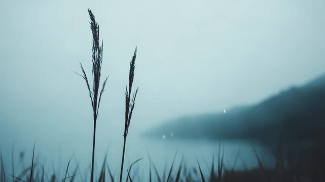Tall grass blades reach towards the sky, set against a tranquil, misty landscape with blurred mountains and a calm body of water extending into the soft horizon