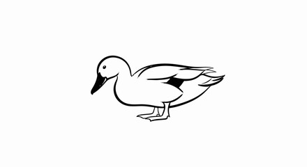 Fototapeta premium A black and white line drawing of a duck standing on its webbed feet