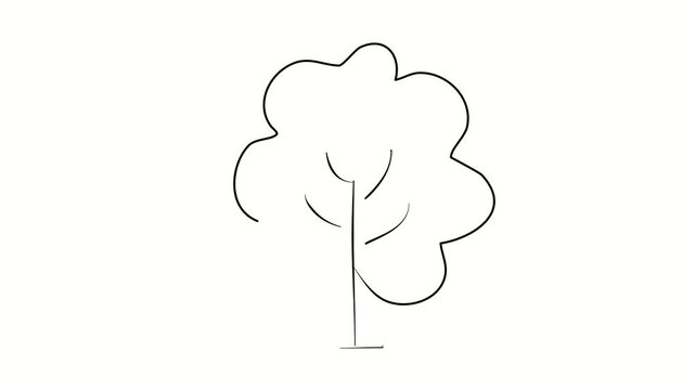 Tree, plant, nature, landscape. Contour drawing, silhouett animation. Continuous line. Isolated on white. Video 4k object illustration self-drawing. Object construction. Minimalist continuous line dra
