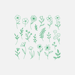 Fototapeta premium green floral background Collection of Hand-Drawn Floral Botanical Doodles in Green. Green Floral Graphic bundle collection Elements for Bullet Journaling and Notebook Design.