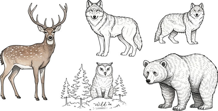 A collection of wild animals, including a deer, two wolves, an owl, and a bear