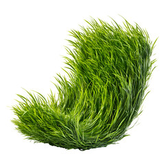 A close-up view of a vibrant green leafy plant with intricate details and textures.