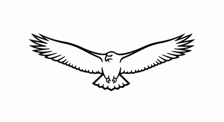 Fototapeta premium Outline of a majestic eagle with wings spread wide in flight