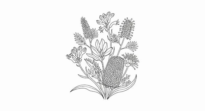 A black and white line drawing of a bouquet of native Australian flowers