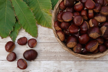 Fototapeta premium Fresh chestnuts filling wicker basket on wooden table