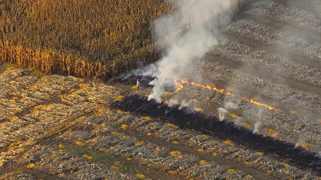 Burning of farmland in rural areas during autumn and winter