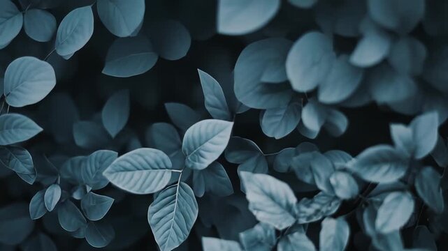 Blue toned leaves densely filling the frame, creating an atmospheric botanical background with a moody and tranquil feel, emphasizing nature's patterns and soothing qualities
