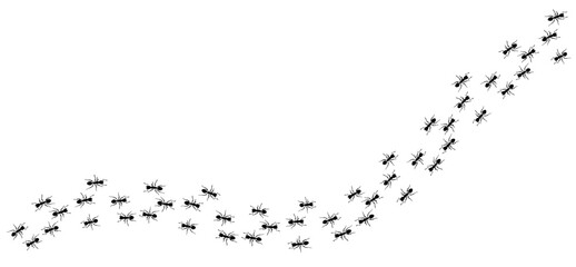 simple editable wider ant trail of ants path pattern brush vector illustration