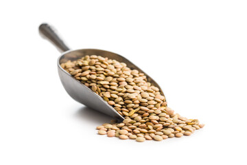 Uncooked green lentil in scoop  isolated on white background.
