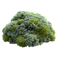 A lush green mossy rock formation in a serene forest environment