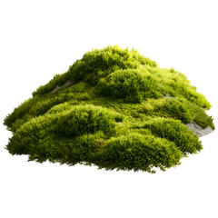 A vibrant and lush green moss-covered hill under a clear blue sky