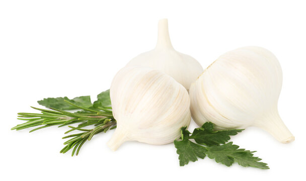 Fresh garlic bulbs, rosemary and parsley isolated on white