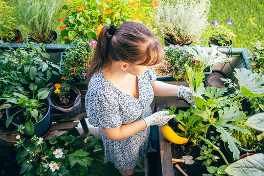 Woman tending green plants on a flower filled urban balcony in natural daylight. Surrounded by lush foliage, creating a vibrant and cozy gardening atmosphere