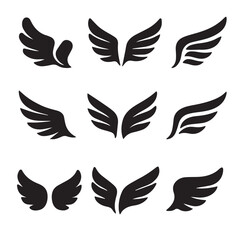 Obraz premium set of wings