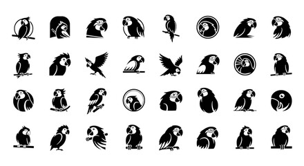 Set of Parrot Vector Illustration