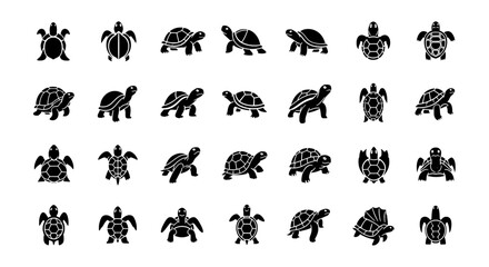 Fototapeta premium Set of Turtle Vector Illustration