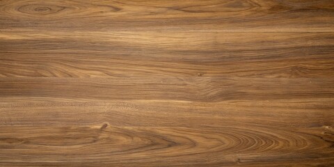 Natural medium brown walnut wood grain texture background © MD