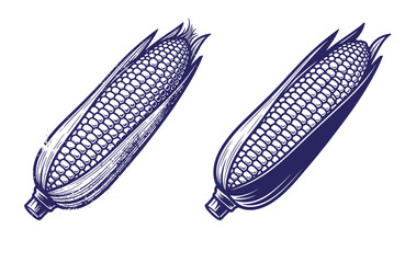 Grunge texture Two blue corn on the cob with leaves and kernels illustration Vintage Style