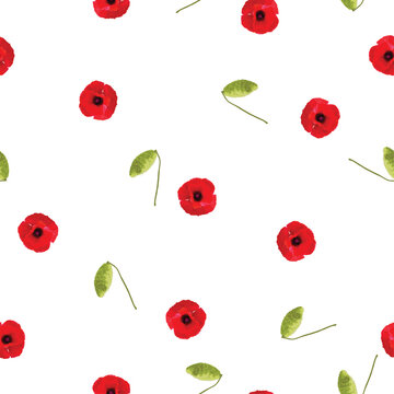 Seamless floral pattern red Poppies flowers with bud on white background, vector eps 10