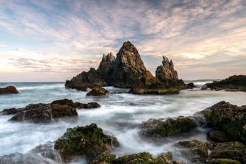 Obraz premium Camel Rock at sunset in Bermagui, New South Wales, Australia, with waves washing over rocky formations along the coastline.