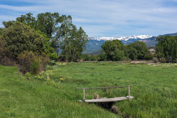 Plank Crossing in Green Meadow with Distant Mountain Range