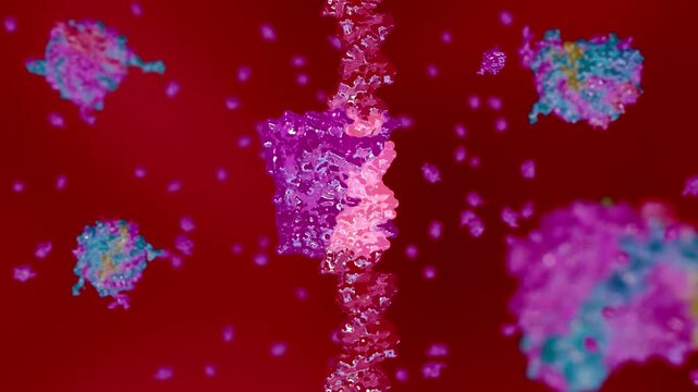Epstein-Barr Virus replication mechanism: EBNA1 protein binding to crimson DNA causing structural stabilization - Cinematic organic 3D render ProRes 4444 XQ animation.