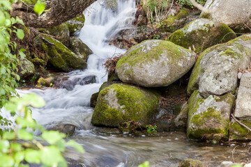 river with silky water and trees