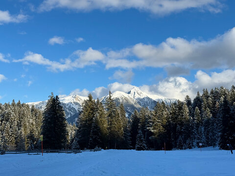 Stunning view of snow covered Alps mountains and Alpine fir trees in Seefeld in Tirol