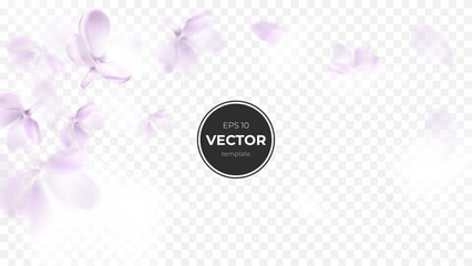 Delicate purple flower petals creating a soft, dreamy background effect.