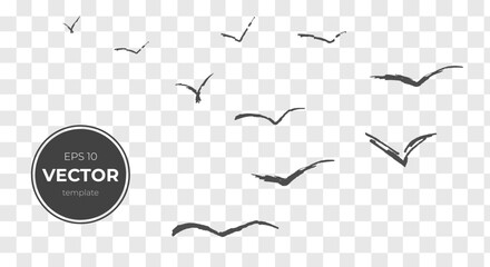 Silhouettes of flying birds against a transparent background.