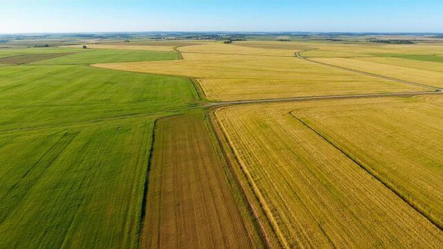 Aerial view of vibrant patchwork of green and golden fields in farmland
