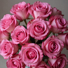 Obraz premium art nouveau, vibrant pink rose garden with delicate petals