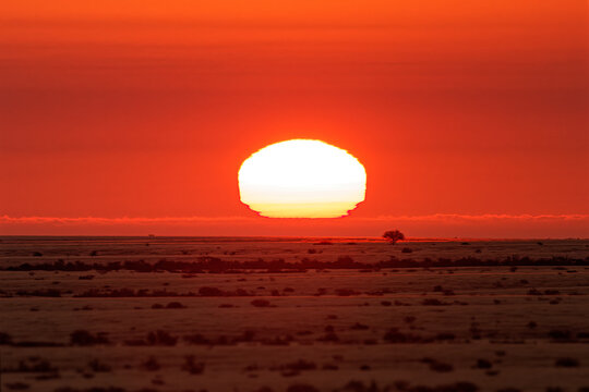 Dramatic sunset over Namib Desert near Spitzkoppe, Namibia, glowing red sky and giant sun on horizon, arid African landscape with lone tree silhouette, remote wilderness scenery