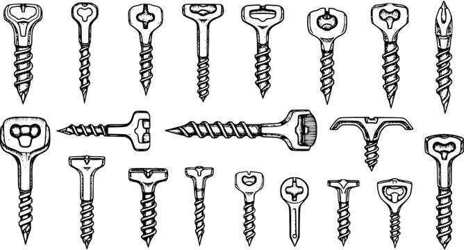 Hand-Drawn Screws  Fasteners: Detailed Sketch Illustration of Various Screw Types for DIY, Construction, and Hardware Concepts